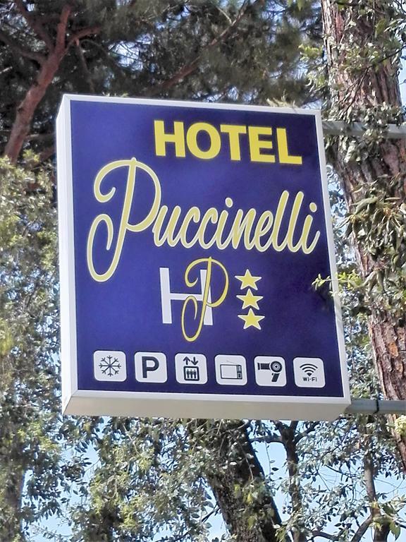 Hotel Puccinelli 利多迪卡马约雷 外观 照片